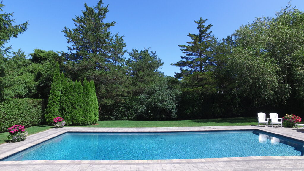 Laguna Blue image 5