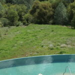Caribbean thumbnail 4