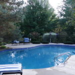Morning Light thumbnail 6