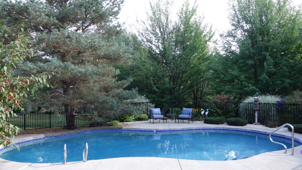 Morning Light image 7