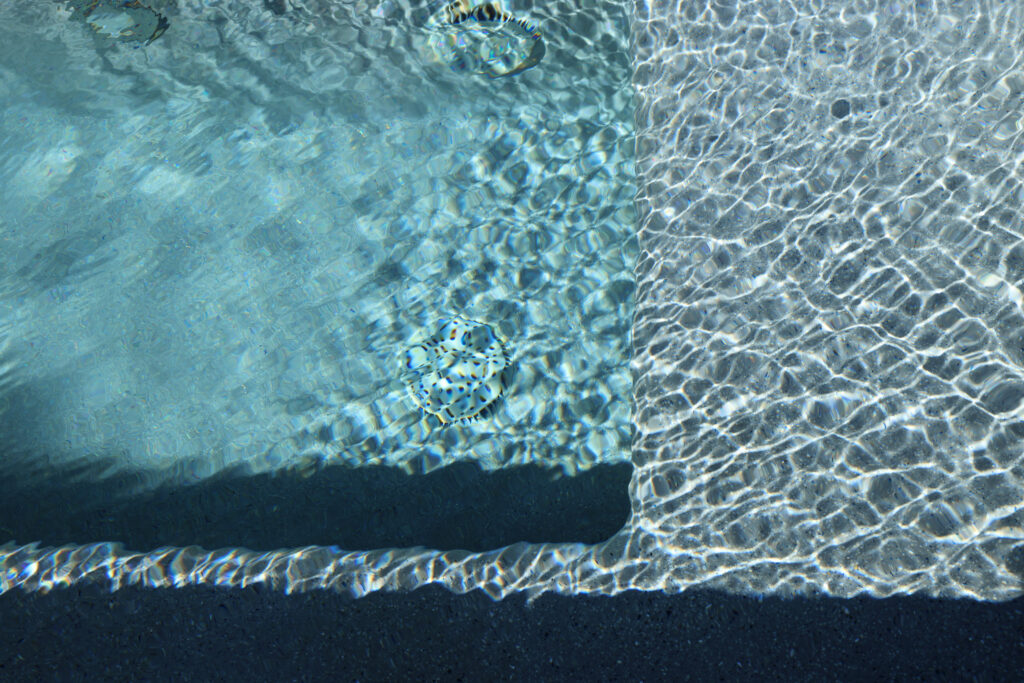 Grigio Treasure image 8