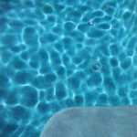 Blue Ocean thumbnail 7