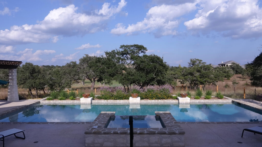 Sage image 11