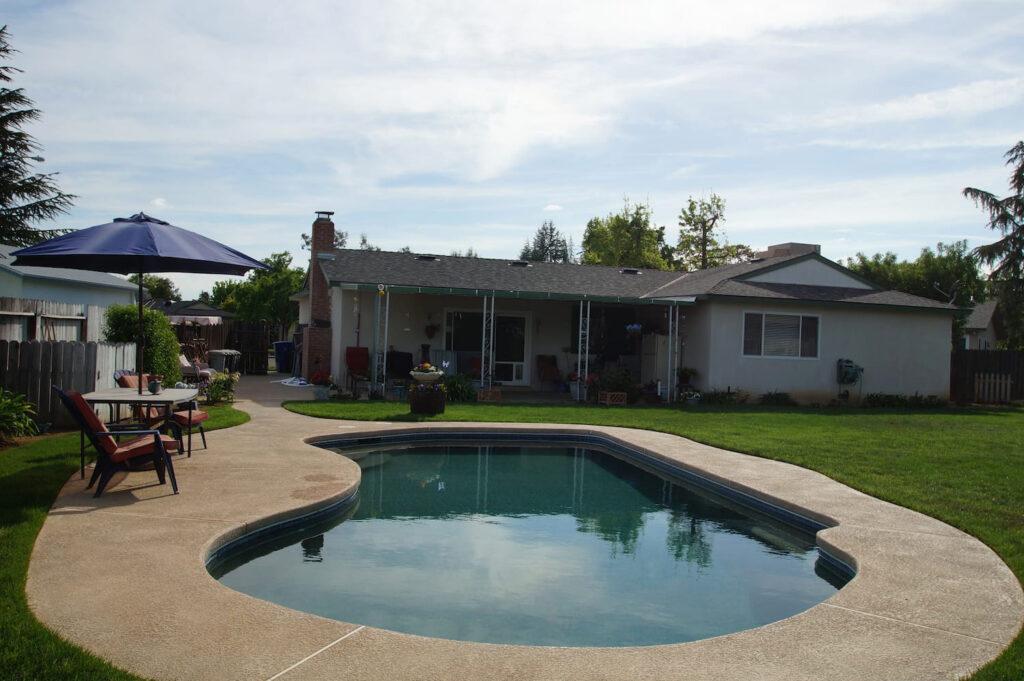Northshore Plum image 3