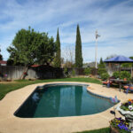 Northshore Plum thumbnail 4