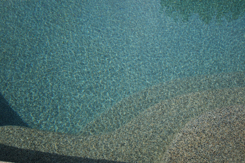 Northshore Plum image 5
