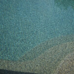 Northshore Plum thumbnail 5